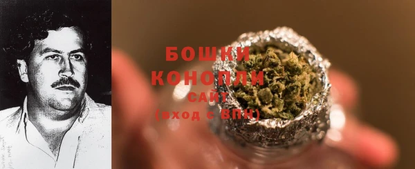хмурый Аркадак