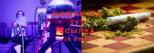 хмурый Аркадак